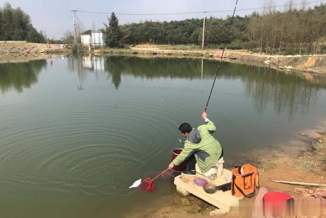 玉米|春天钓黑坑鲤鱼,钓位第一重要,春天钓黑坑鲤鱼的选钓位技巧