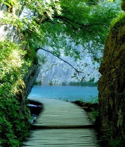 与狼共舞|字母是勇太子的亲戚，任务是网曝许大舅，田静与狼共舞让人担心