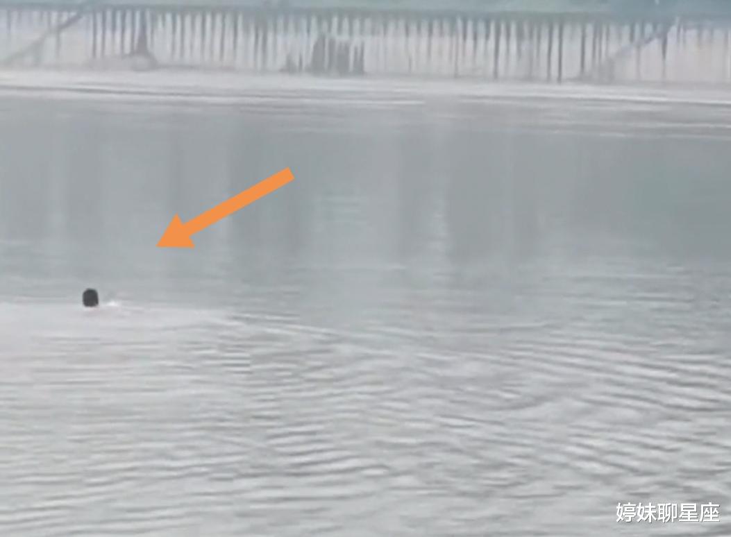 溺水|重庆男子下水捞鱼竿!为何会游泳还会溺水?