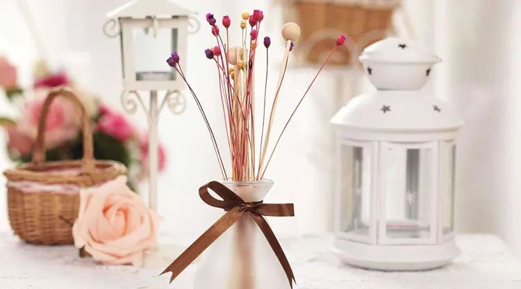 这种气味危害大,小心别让它进入家门!