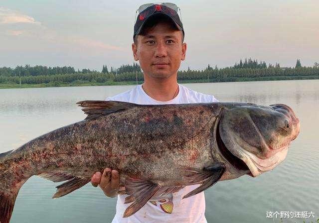 |天元放大招抢流量？抽福利粉丝PK送全套装备，野钓乱象还远吗？