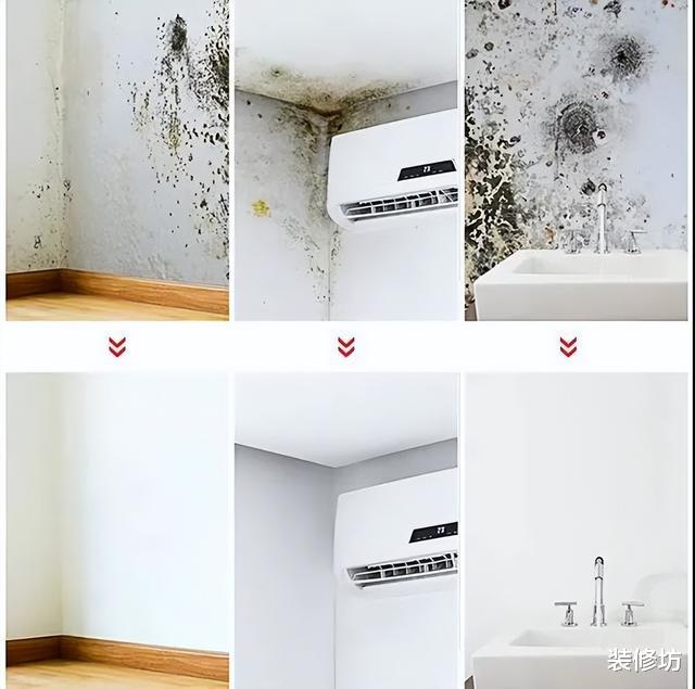 家中墙面霉菌“疯狂”生长?偷偷教你2招,霉斑再多也不怕!