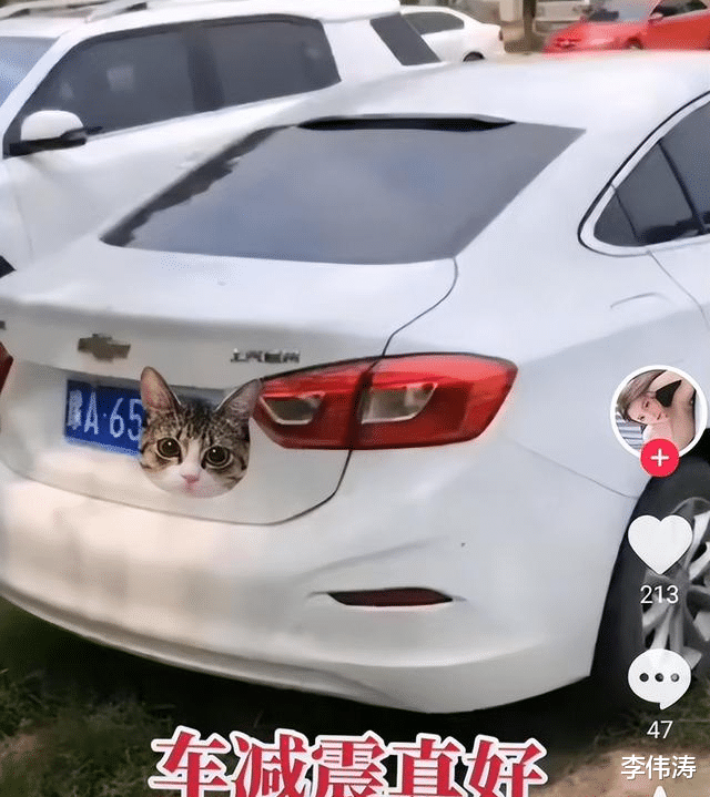 丈夫发现老婆与一男子躲在车内，愤怒异常，老婆：我帮他试减震呢