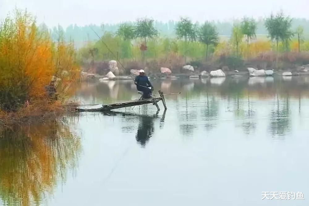 |晚秋野钓，3不选3不钓，遇上这些“坑”，切记绕道走