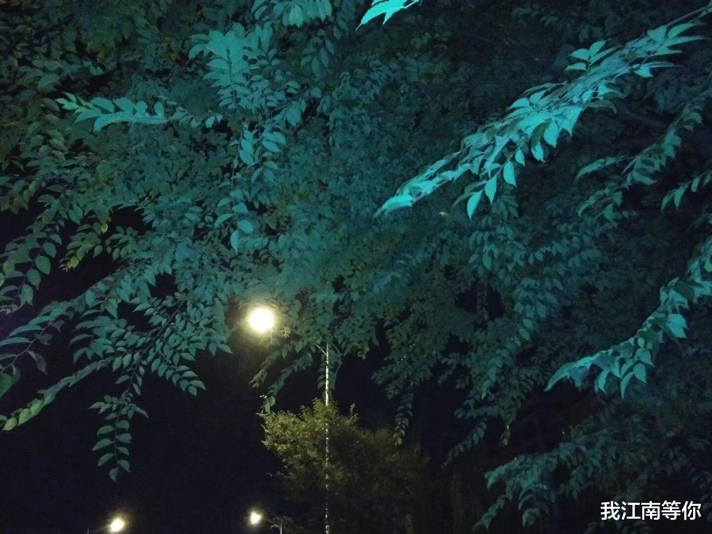 20岁女主播被包工头约到夜店,在包间遭到侵犯