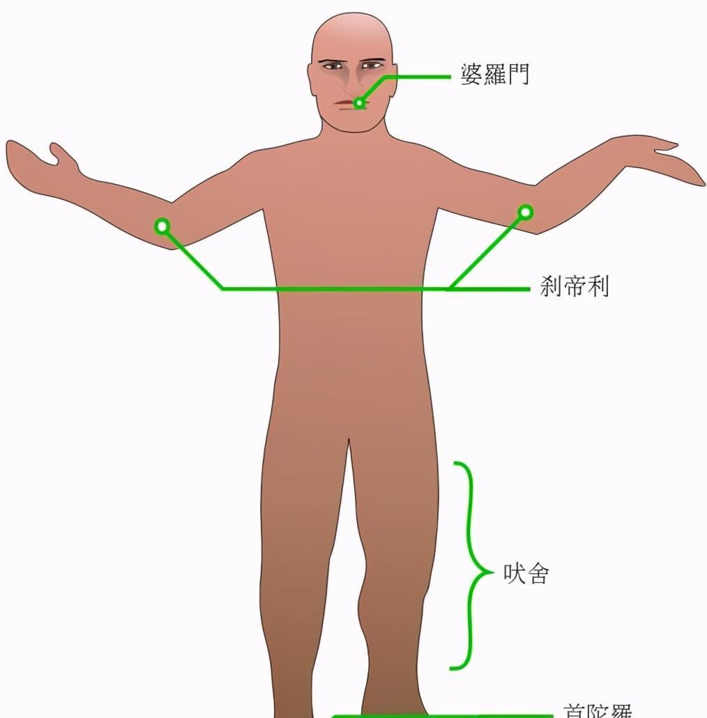 佛教在向全世界传播的同时为什么在印度走向了衰败