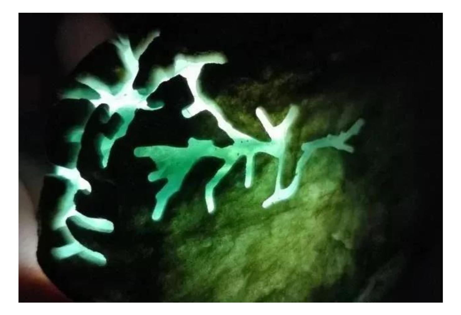 翡翠|原石里面有花