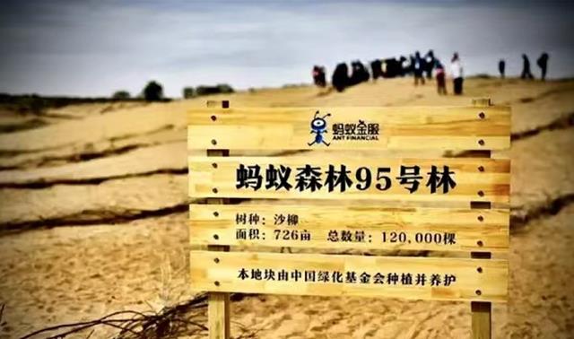 蚂蚁森林|马云承诺每年在沙漠里种树,如今6年过去了,沙漠已经变成这样