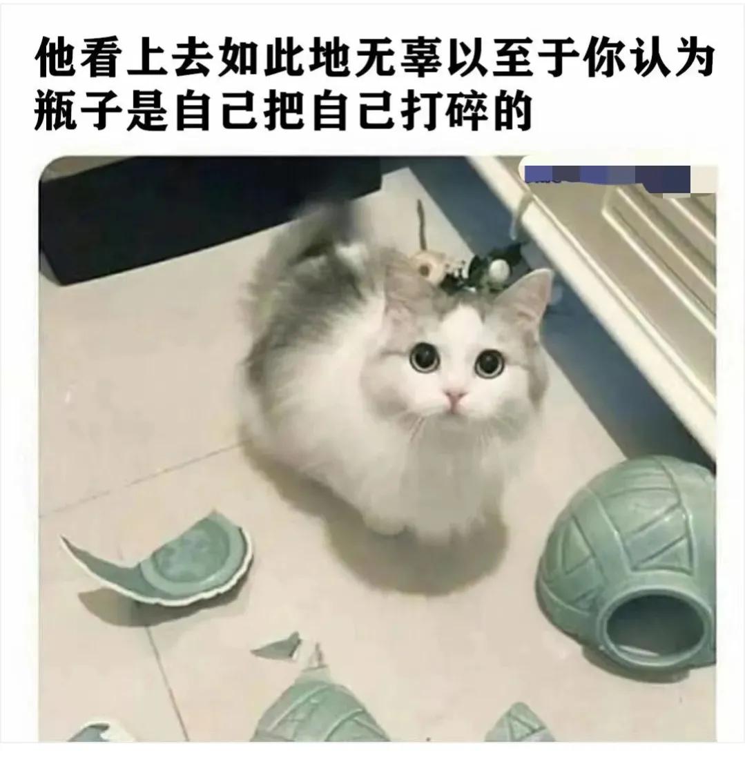 刘德华|神回复：刘德华演过的角色有许多，大家知道有哪些电影吗？