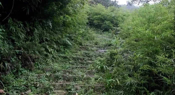 旅游业|5月22周日出发【秘境清远*百年古道】登猪咸脑百年古道线一日