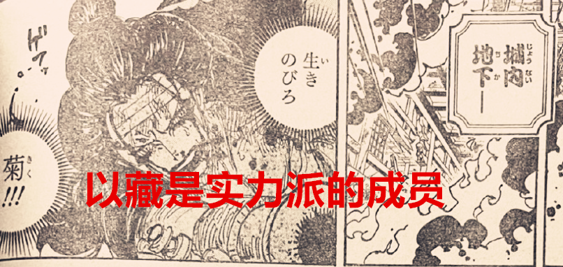 海贼王|海贼王1041话:大和是凯多和大妈的女儿?橡胶果实是神族所创造