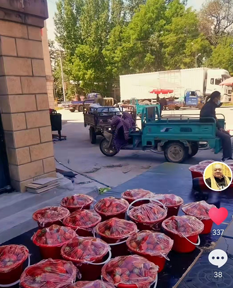 谢宁|49岁谢宁转行摆地摊卖草莓,身上衣服满是污渍,恳求路人照顾生意