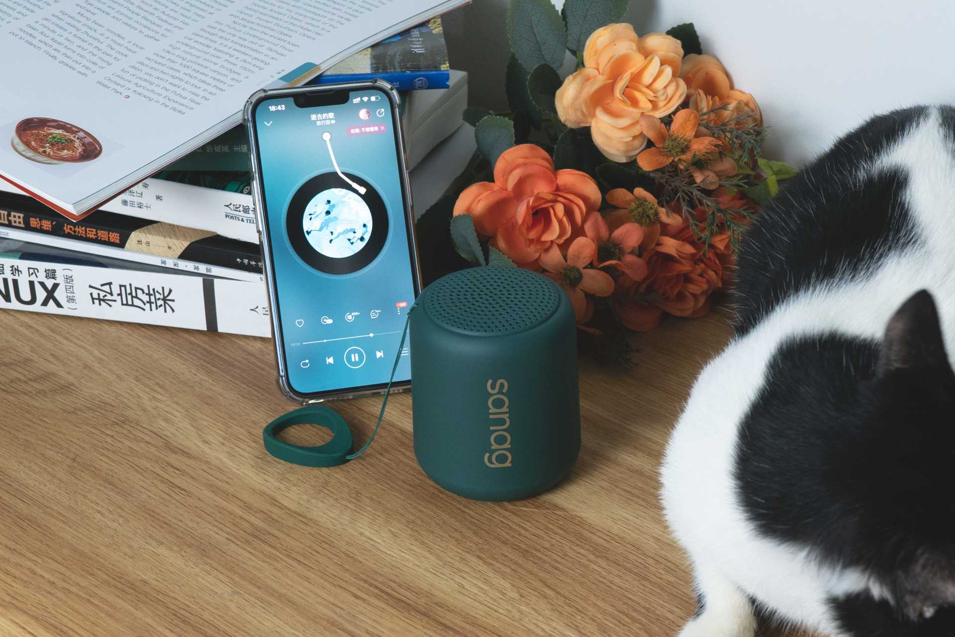 华硕|强劲低音，音乐看得见——种草Sanag X6Pro