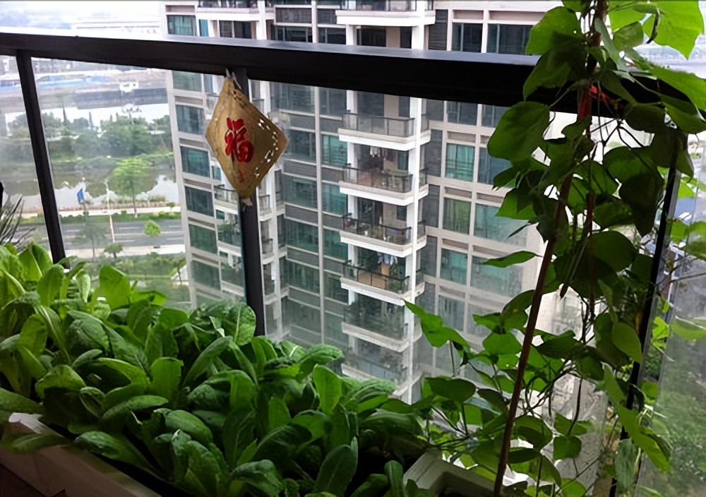 阳台景观小景这样做才有意境