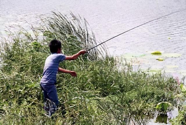 |渔乐杂谈:夏季宜钓刮风、下雨天,有哪些应对技巧?