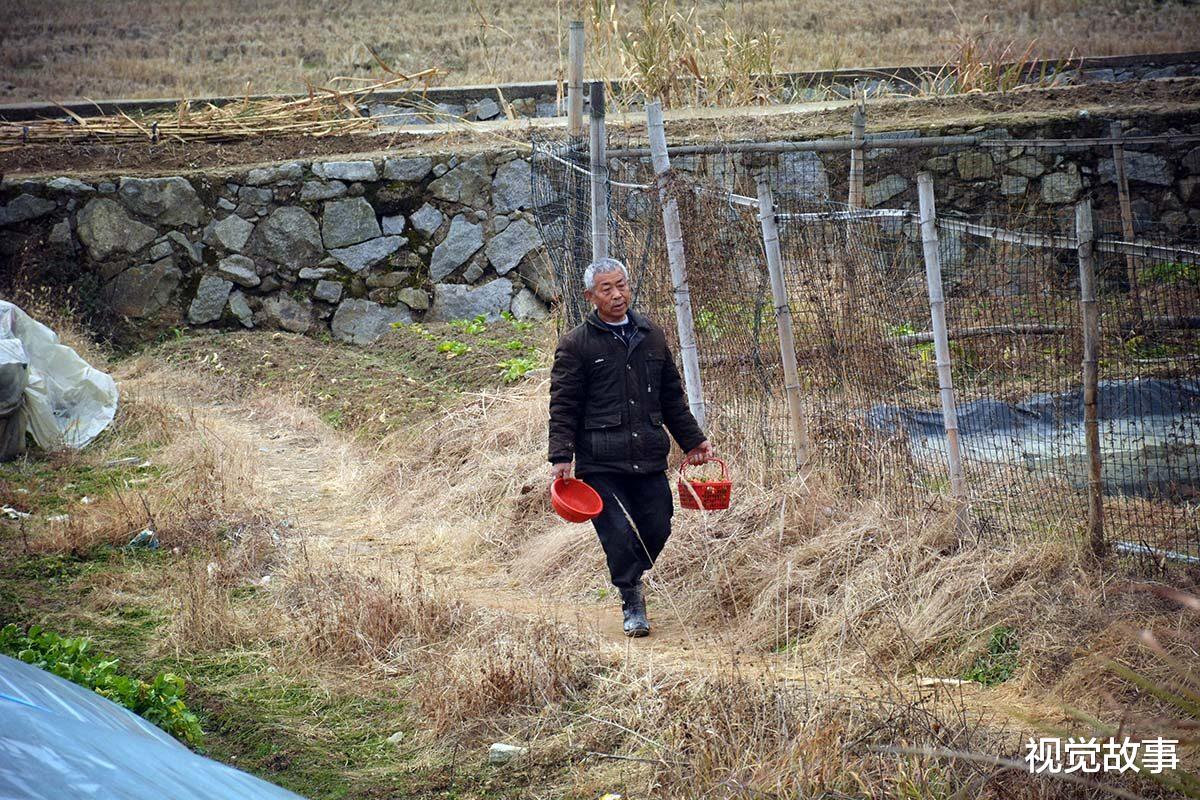 老伴和儿子常年不在家,64岁大爷独居楼房,看他怎样1年赚10万