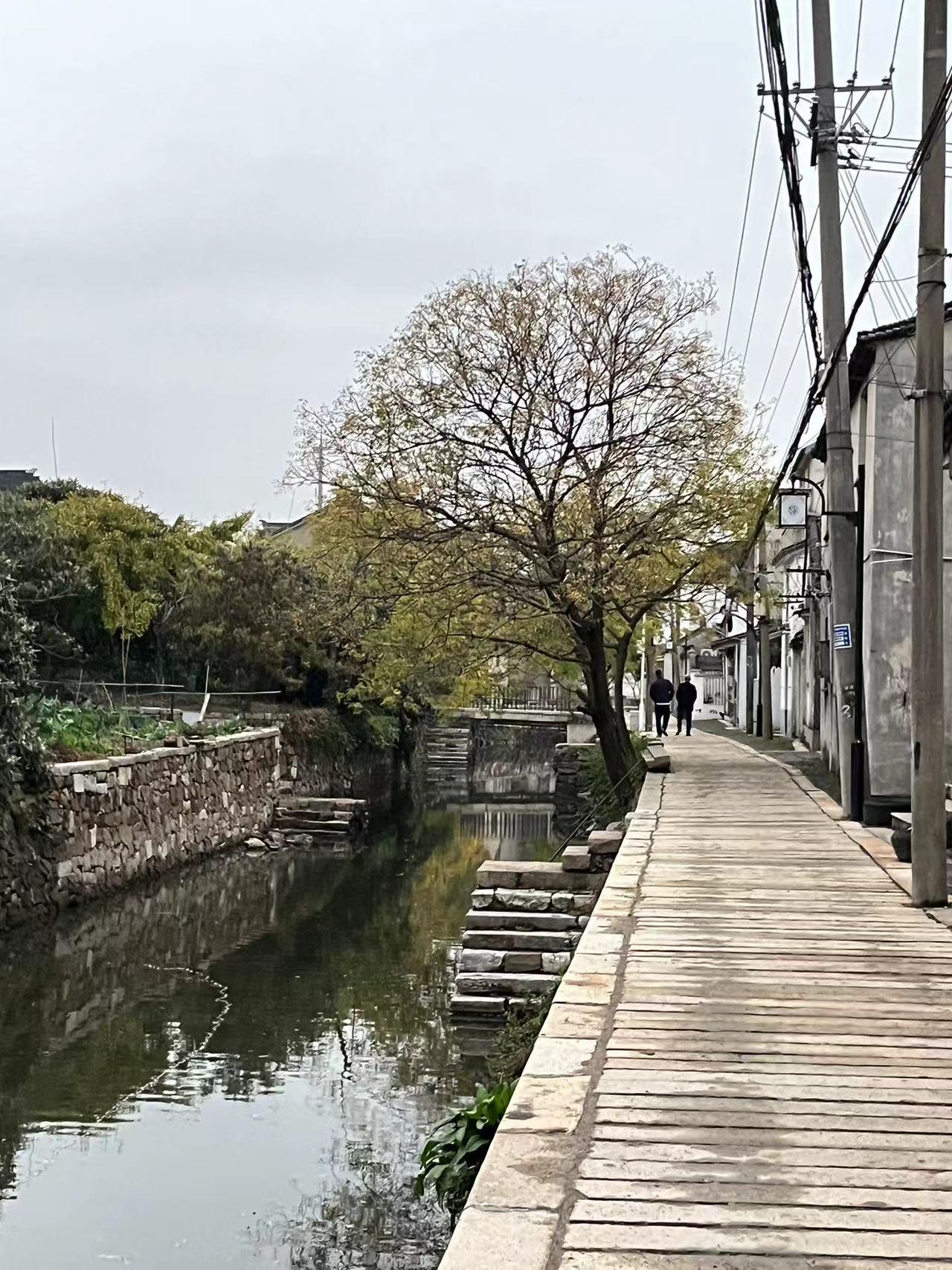 缥缈峰|桔柚香飘金庭镇，枇杷花涵十二峰，金庭十二峰疾速追山游记