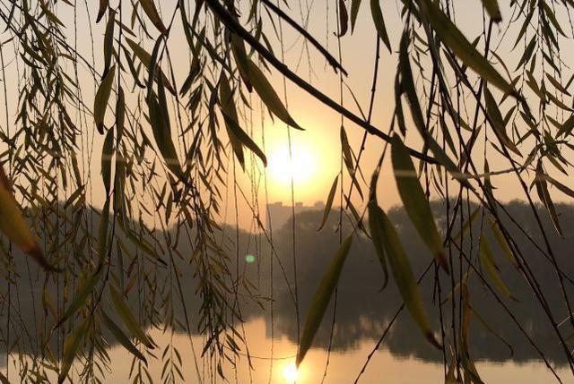 明日很不一般,是今年唯一的“天体同位”日,老祖宗的忠告要知道