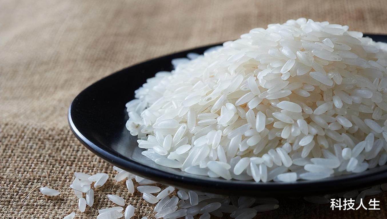 家里大米老生虫?原来是忽略了“这个细节”,看完分享给身边人