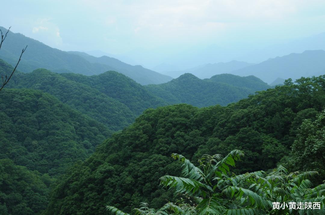 秦岭|谁能想到，秦岭网红小镇还暗藏隐秘一面，这才是凉爽的山水幽境