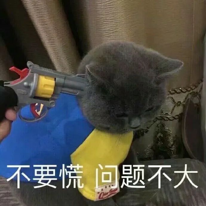 天津市|短裙美女在滑雪道跳舞被撞？滑雪场：都是剧本