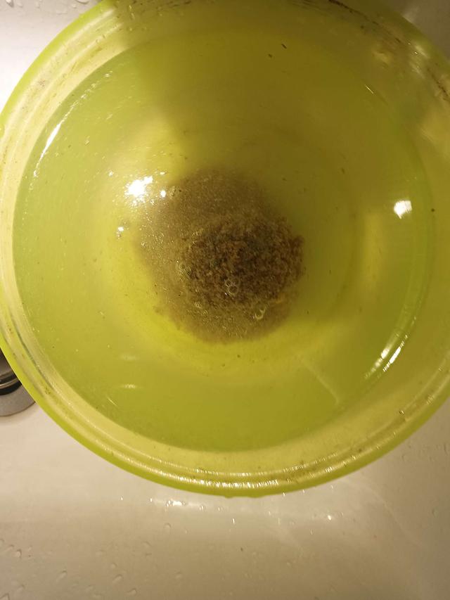 饵料|应钓友要求为大家分享下我的小爆炸饵料如何制作