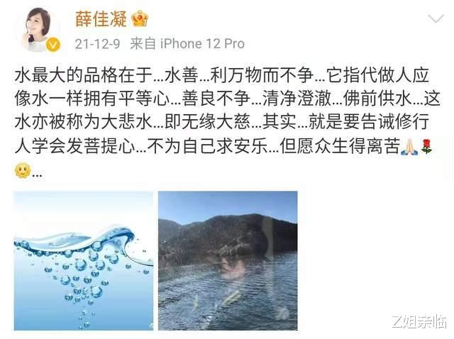 张延|20年前,4位“粉红女郎”一夜爆红,如今她们的事业和婚姻竟差距这么大