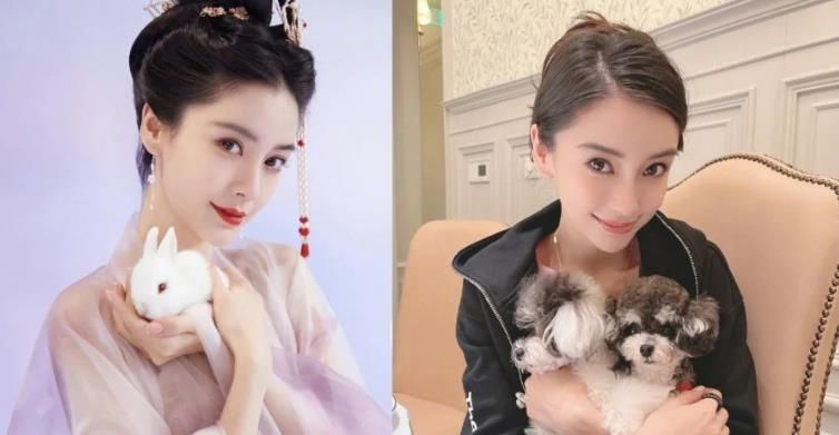 Angelababy|偶遇Angelababy借厕所 网友叹:走了才知道是她
