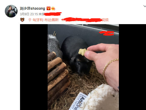 篮网队|刘少林真敬业！冬奥会结束20天还在宣传中国品牌，弟弟拿一串奖牌很骄傲