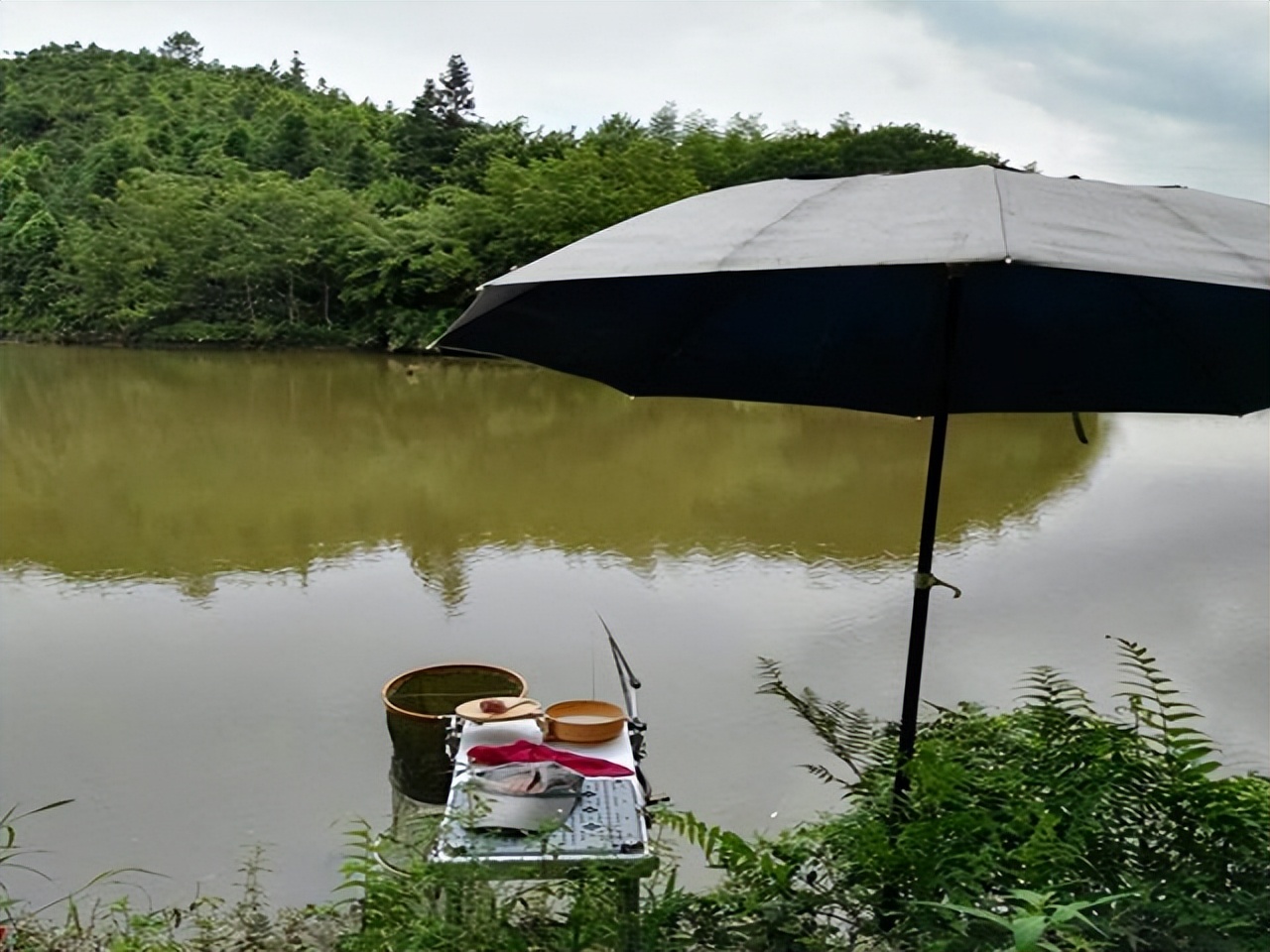 饵料|钓鱼中有3个“死穴”,如果你不重视起来,活该你渔获惨淡