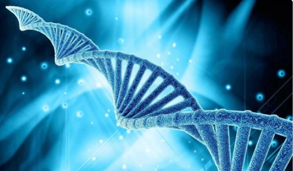 现代科学的基因“诅咒”,近亲结婚祸害多个王朝,为何无法破解?