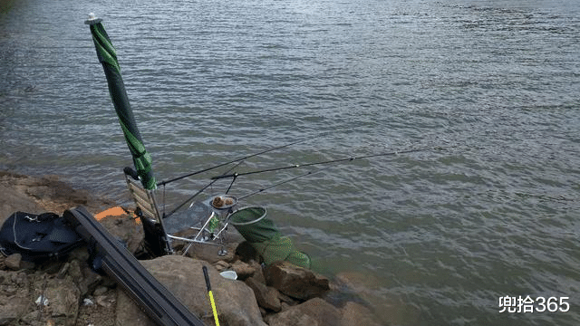 |男子在户外钓鱼太入神,菜花蛇直接爬到他的脚边,网友:虚惊一场