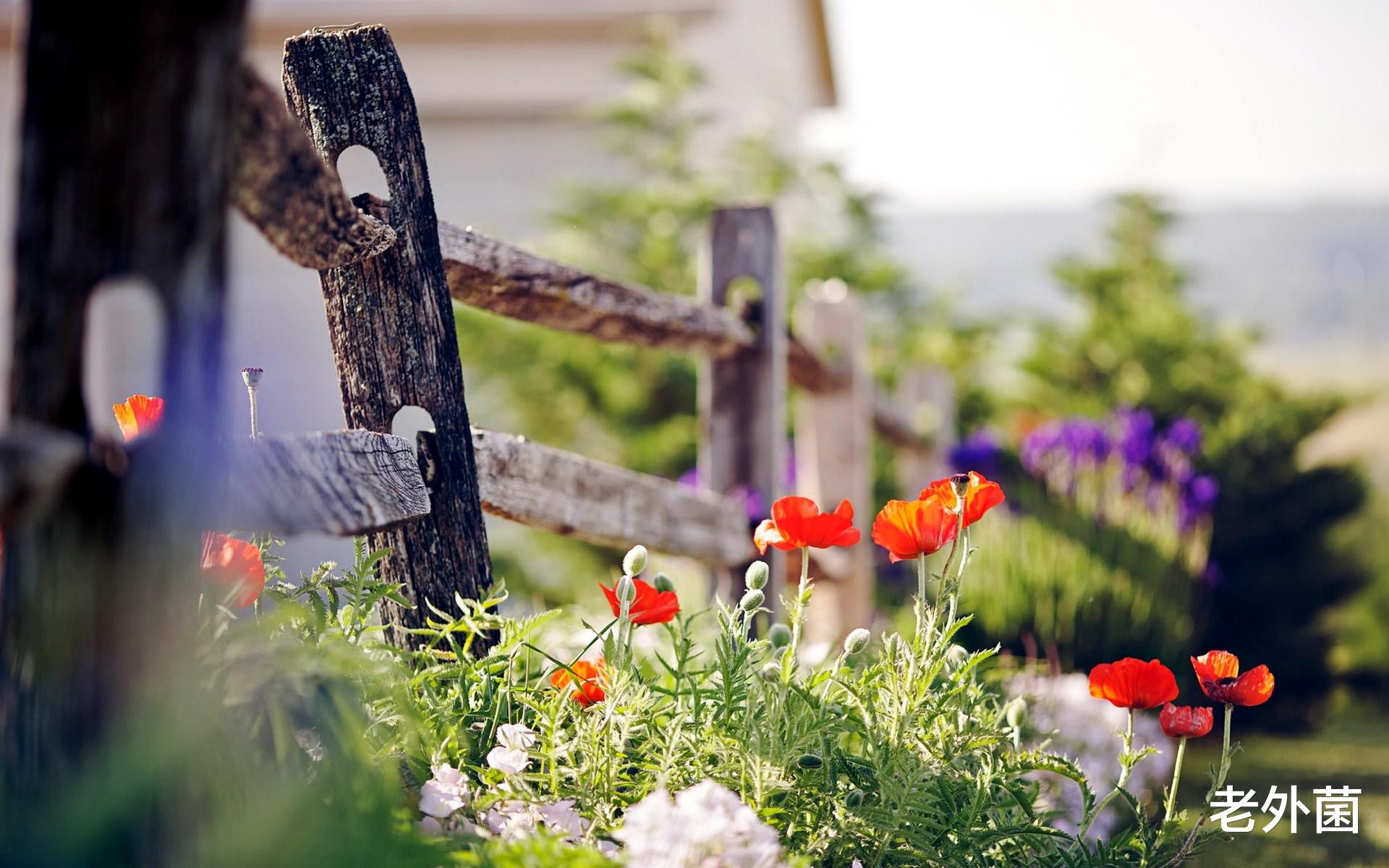 家居环境直接体现生活习惯,每个人都有理想中的房子