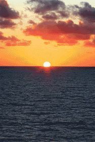 甘南|就没见过哪个过气网红,还能好看成这样的