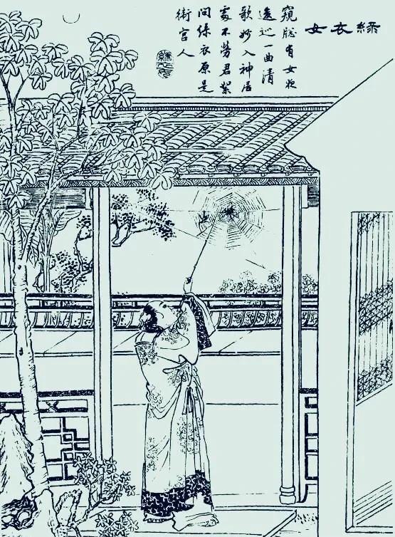 绿衣女（聊斋志异）
