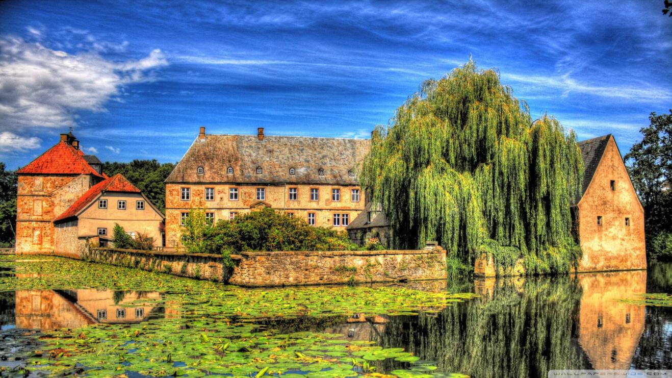 |职场上，选择适合自己的，才有成功的可能才有成功的可能