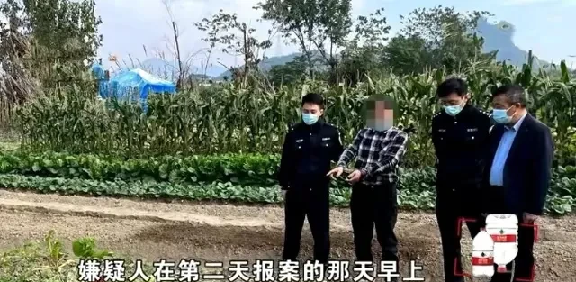 浙江杭州,三名男子偷挖农民300斤萝卜,被找到时已成萝卜丝!