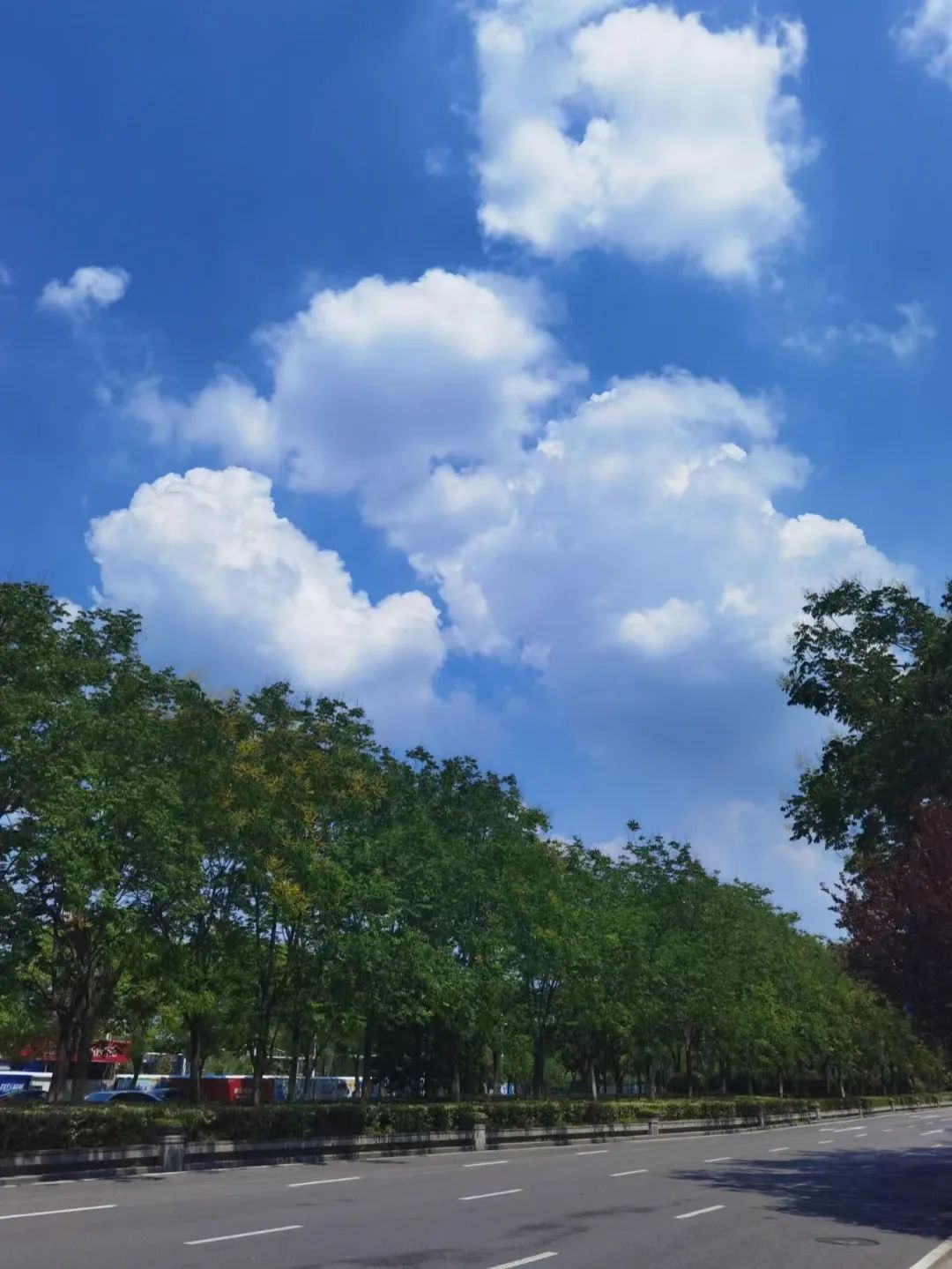 求职|毕业4年被裁3次,降薪也拼不过应届生,今年找工作的人有多难?