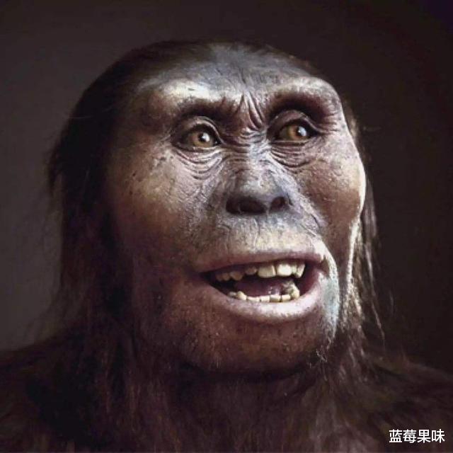 人类的进化史并不完整,缺失了13万年,这期间发生了什么?