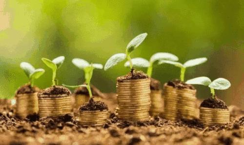 米哈游|如果你是这4个专业，我建议你一定要读研，毕业身价倍增