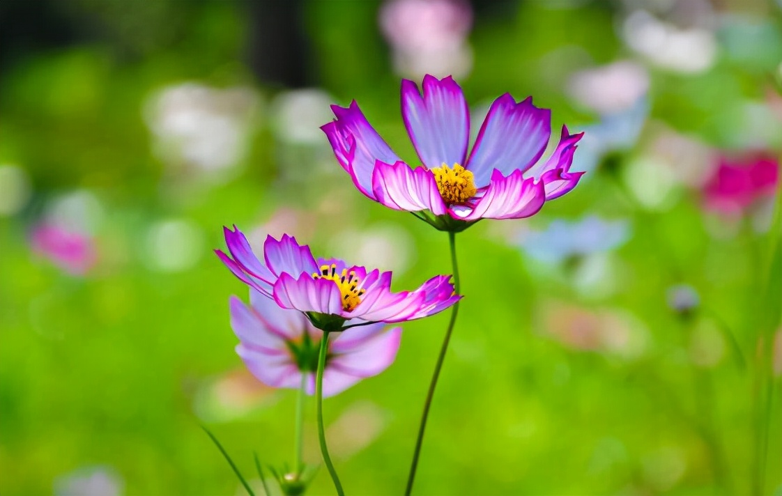 退休|退休老人,不管你多热情,也别管以下五件闲事