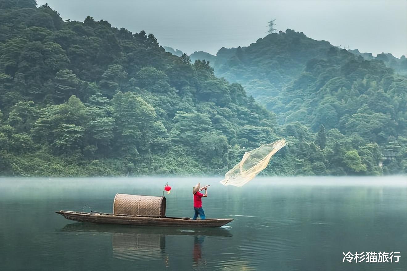 荷花|7月最佳避暑旅行地TOP10,用一场旅行,开启美好的下半年