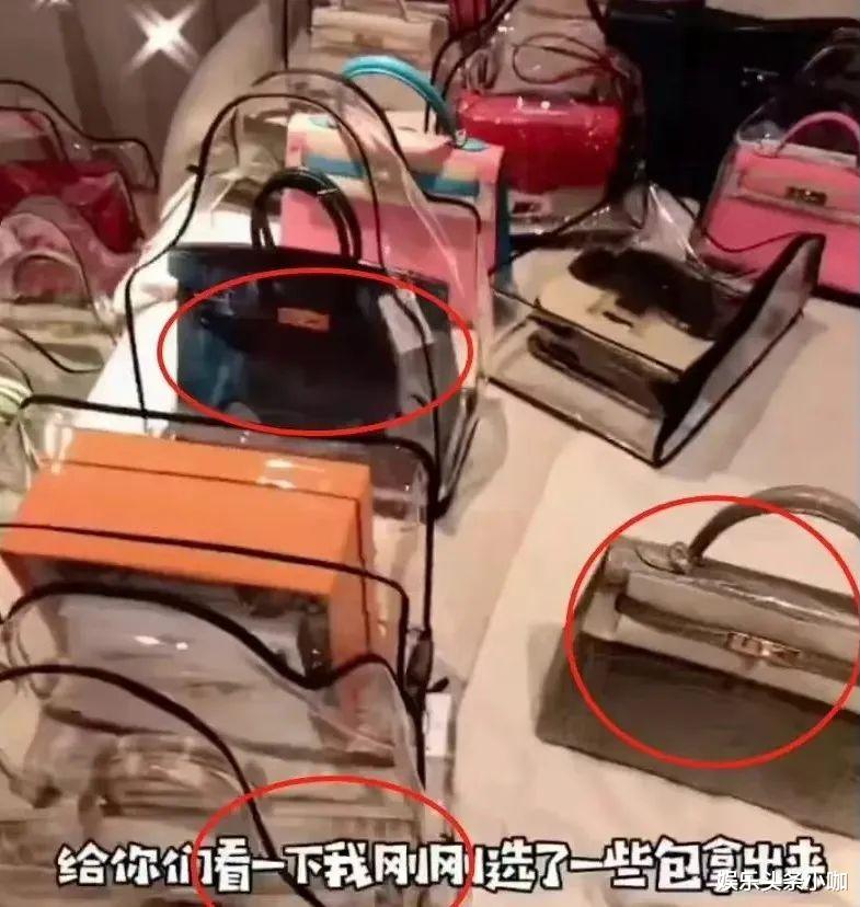 周扬青|年度赘婿？他终于火出圈了！