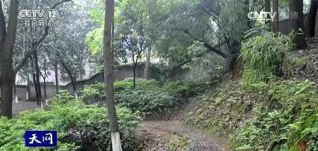 湖南怀化医院奸尸案