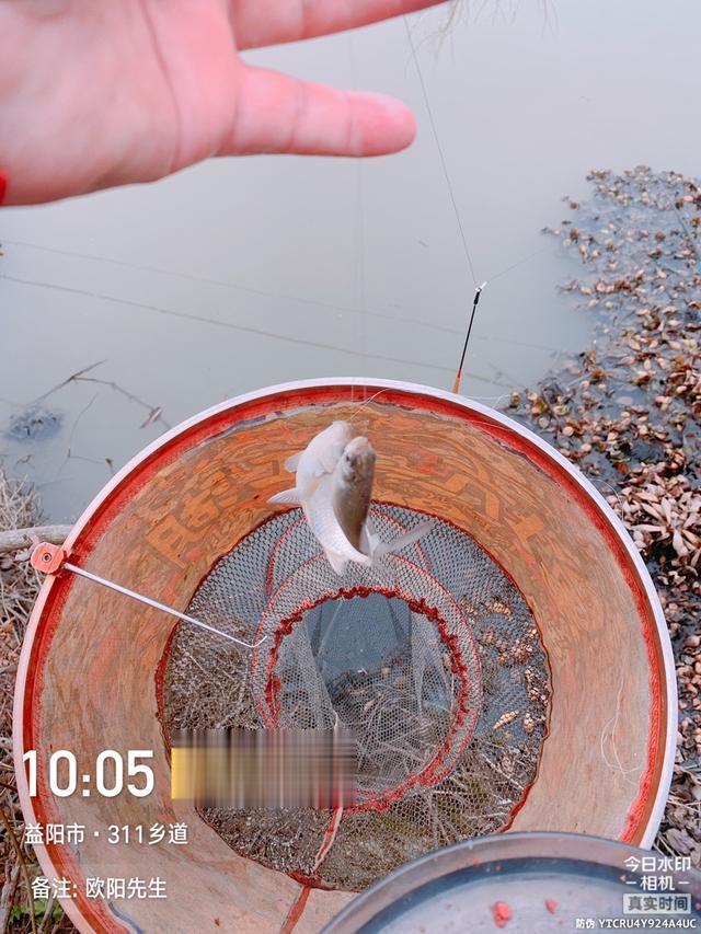 饵料|【钓鱼之家虾粉】平台虾粉真牛逼,野钓电排沟爆连鲫