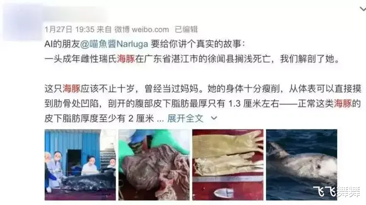 揭秘缅北,世界最大的器官交易市场,真实情况让你触目惊心