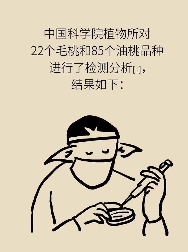 医学|毛桃、油桃，黄桃、白桃，哪个更有营养？看完或明白