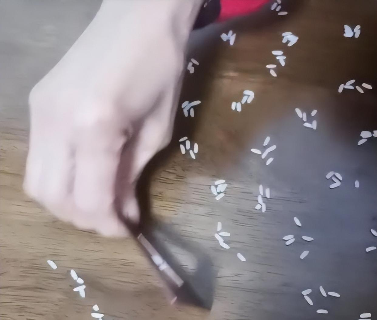 老师布置“奇葩”作业数一万粒米,全家出动忙到深夜,引网友吐槽