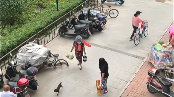 吉林：27岁女子拎不动2桶油，遭72岁奶奶吐槽：“你啥也不是”