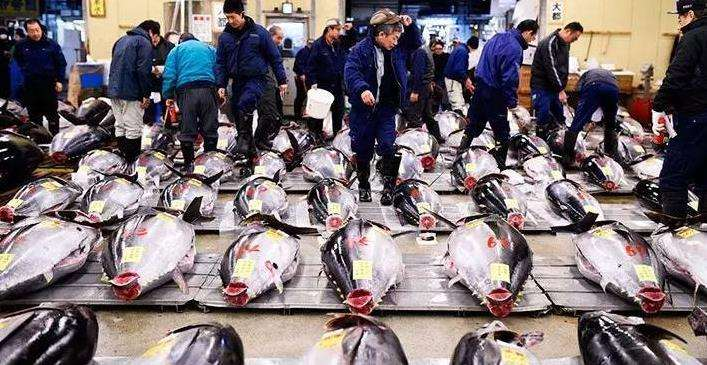 日本|恐怖职业：日本“洗屋人”！包吃包住一天10万，为何无人敢做？